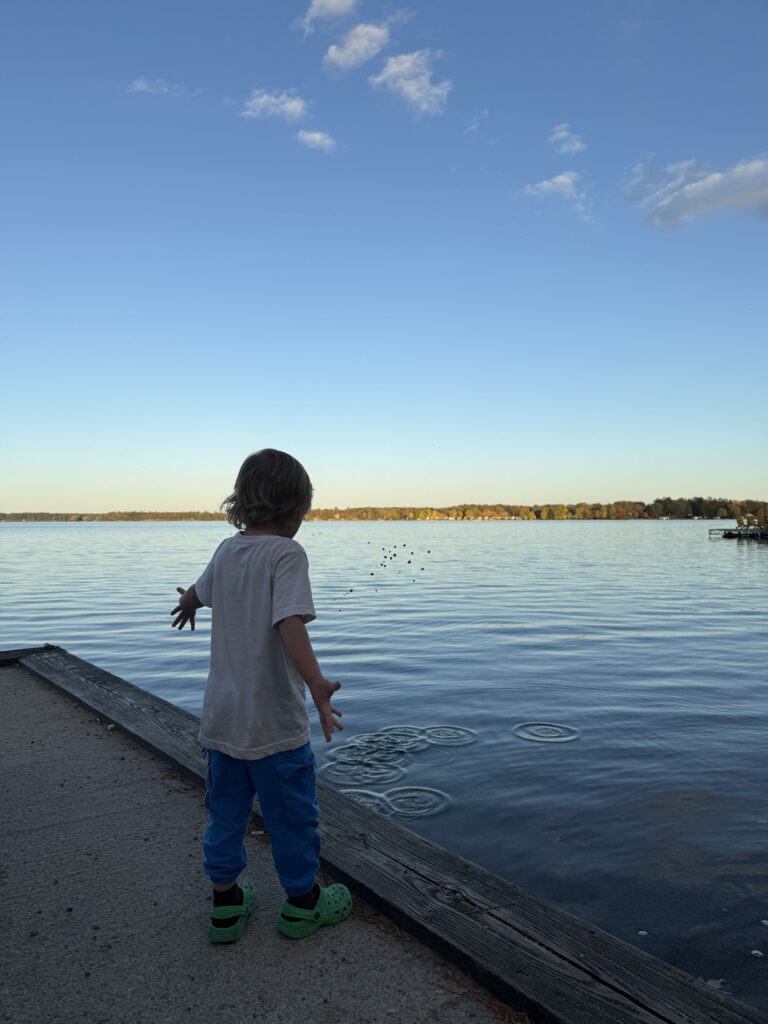 Young child tossing small stones into a calm lake from the shoreline, creating ripples on the water under a clear evening sky