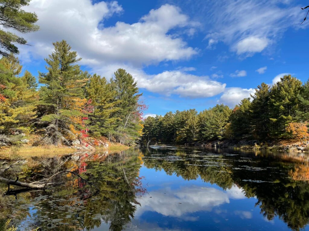 Colourful fall trees reflected in a calm lake under a partly cloudy blue sky, creating a mirror-like landscape scene.